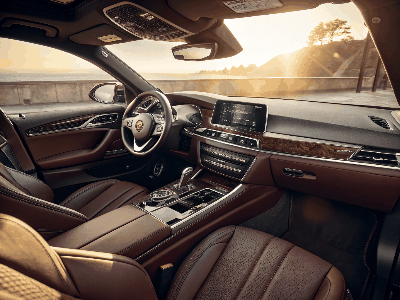Interior Options